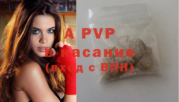 ГАЛЛЮЦИНОГЕННЫЕ ГРИБЫ Каменногорск