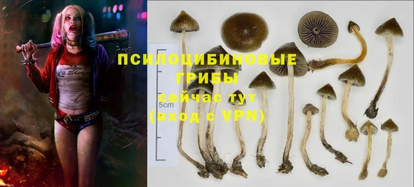 герыч Касимов