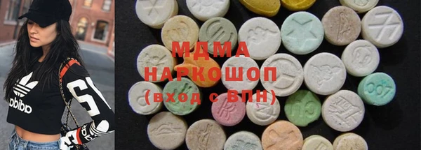 индика Каменка