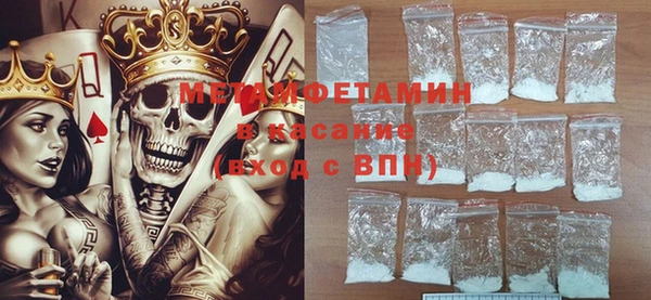 индика Каменка