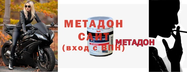 индика Каменка
