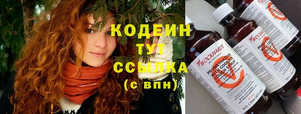 индика Каменка
