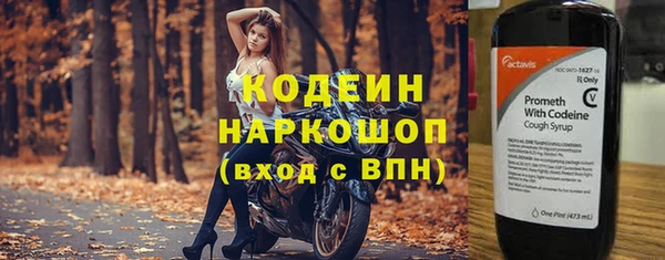 индика Каменка