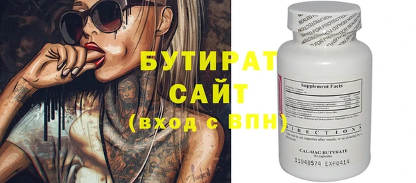 индика Каменка