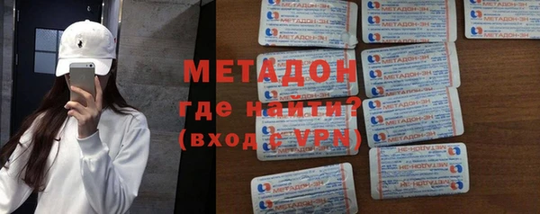 индика Каменка