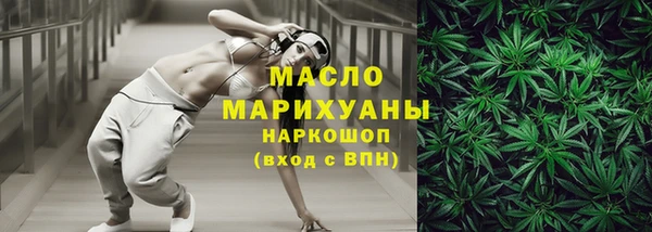 индика Каменка