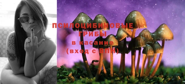 ГАЛЛЮЦИНОГЕННЫЕ ГРИБЫ Каменногорск