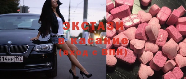 индика Каменка