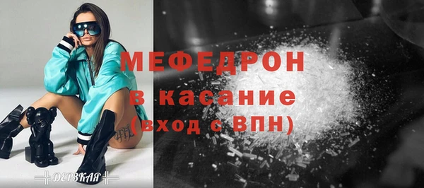 индика Каменка