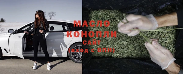 индика Каменка