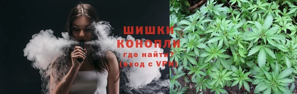 ГАЛЛЮЦИНОГЕННЫЕ ГРИБЫ Каменногорск